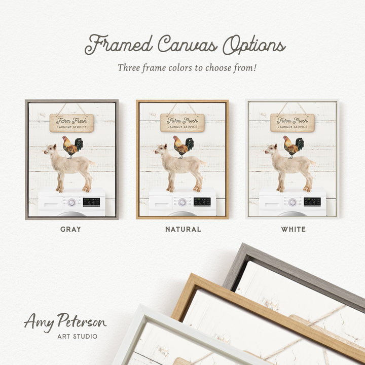 three framed canvas options for a farm fresh laundry service, each with a different color: gray, natural, and white.