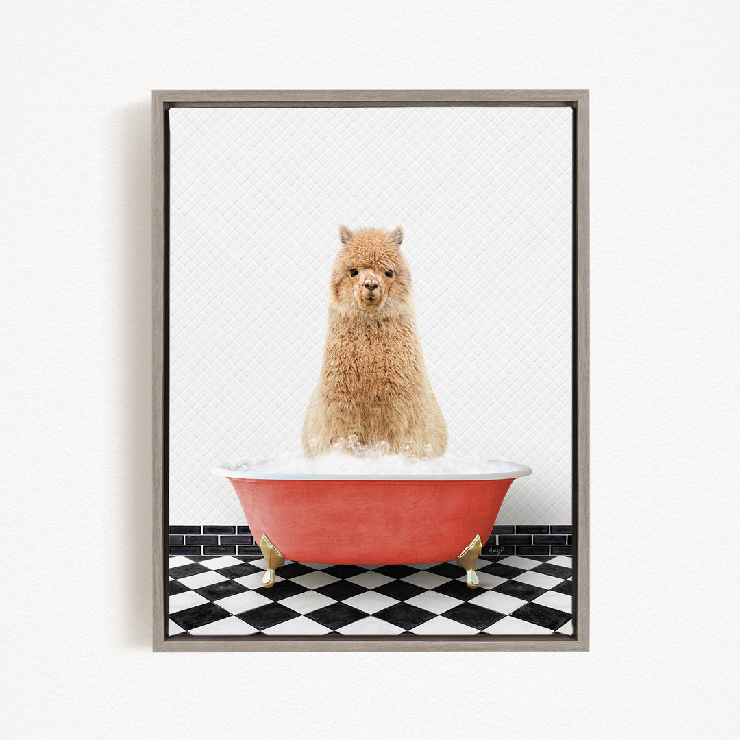 A fluffy brown alpaca sitting in a red bathtub filled with bubbles, with a black and white checkered floor in the background.