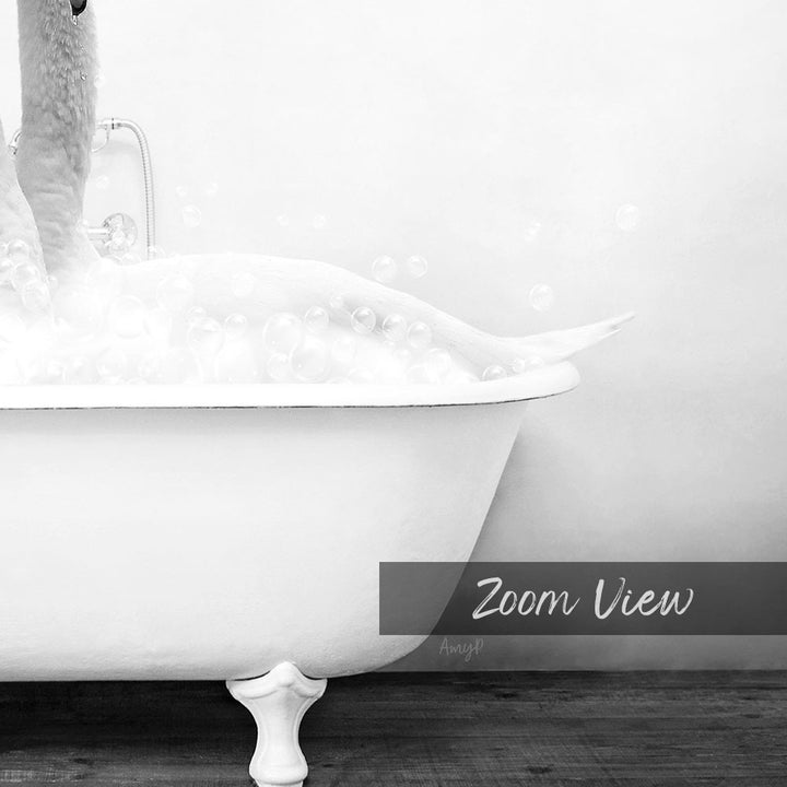 A white claw-foot bathtub filled with bubbles, with a text overlay that reads "Zoom View" and "Amyl" in the bottom right corner.