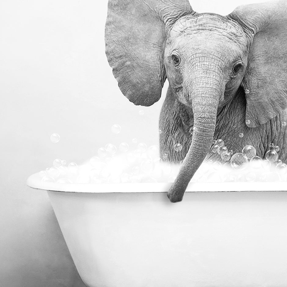 a black and white photo of an elephant in a bathtub