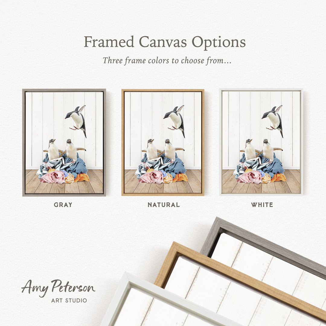 three framed canvas options, each with a different color: gray, natural, and white. The text above the images reads " framed Canvas Options" and "Three frame colors to choose from...". The text below the images reads "Grays", "NATURAL", and "WHITE". The artist's name, Amy Peterson, is also mentioned at the bottom of the image.
