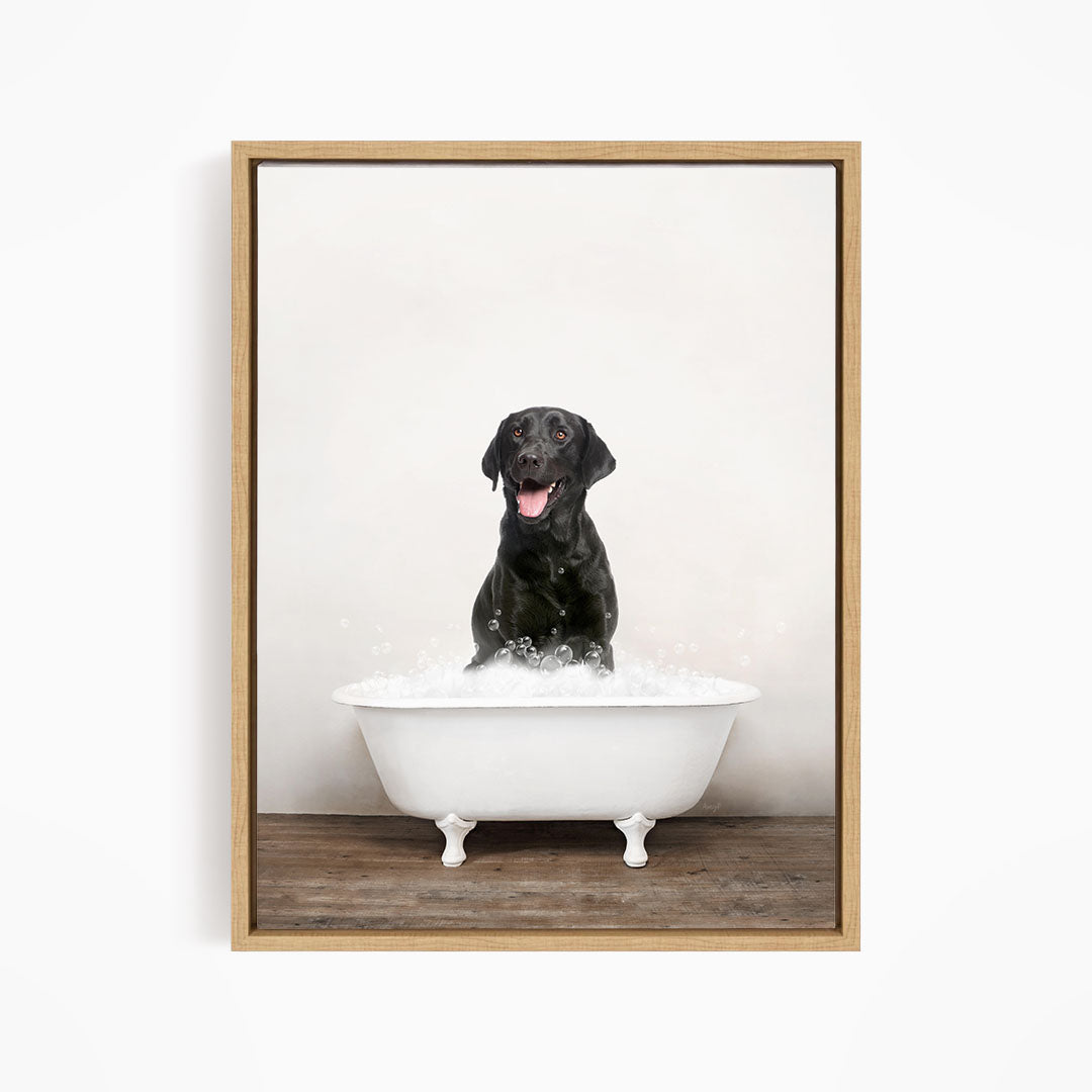 A black dog sitting in a white bathtub filled with bubbles, looking content and relaxed.
