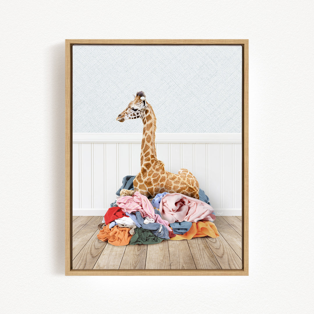 A giraffe is sitting on a pile of clothes in a room with a white wall and wooden floor.