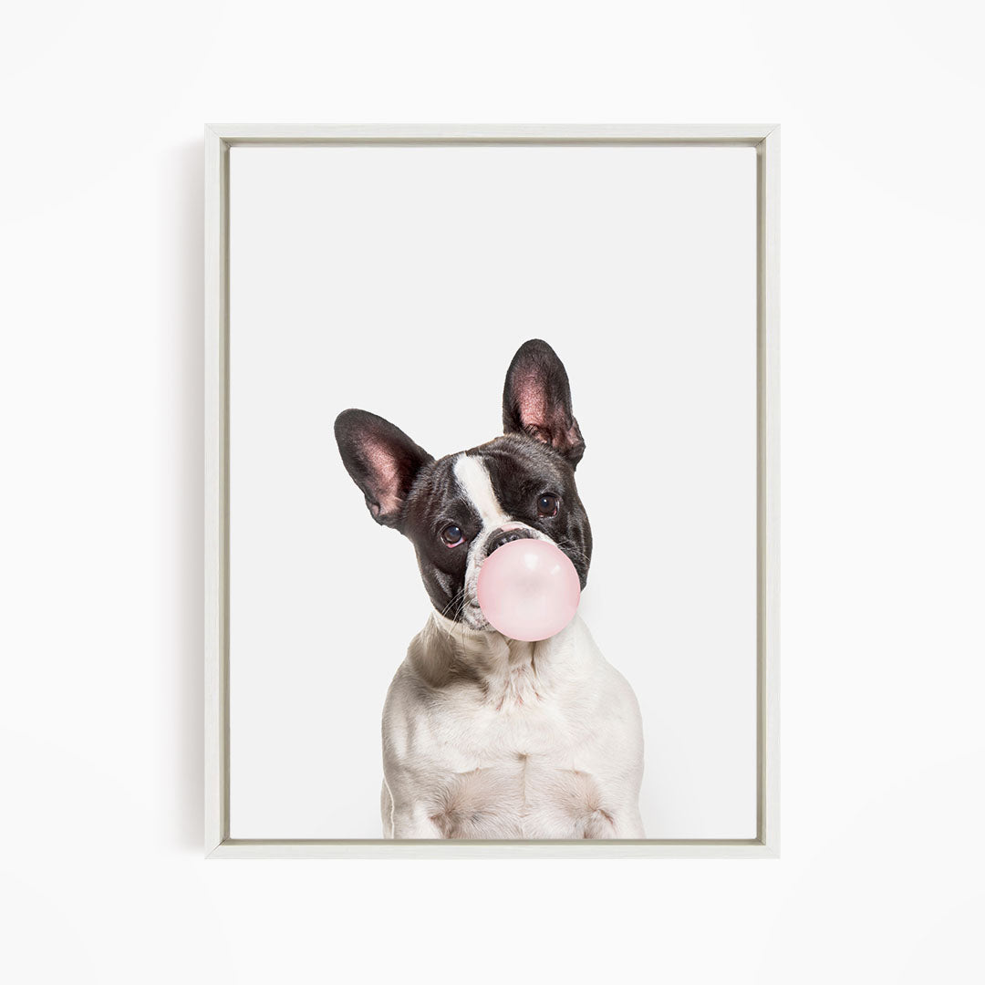 A black and white dog is blowing a bubble with a pink bubble gum bubble.