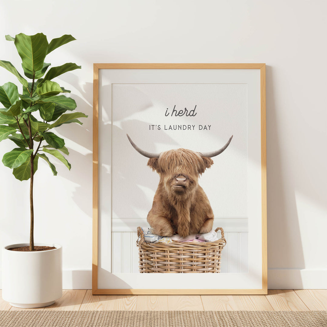 a framed poster with a picture of a Highland cow sitting in a wicker basket, accompanied by the text "It's laundry day" in a playful and humorous manner.