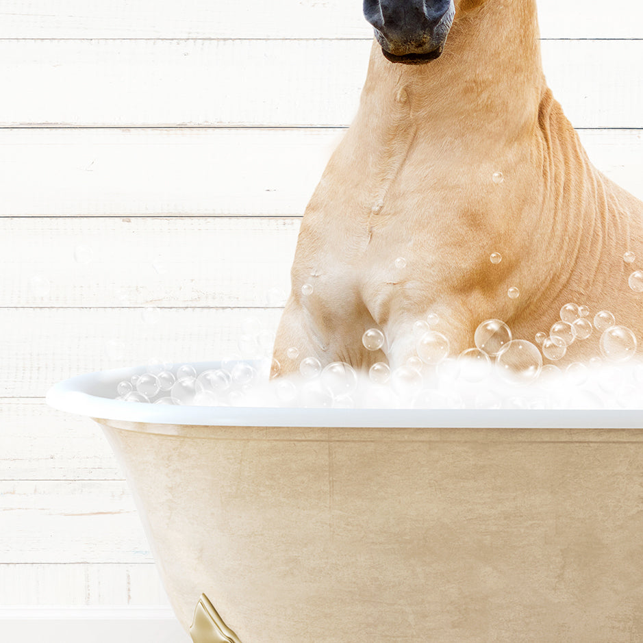 a dog is taking a bath in a bathtub