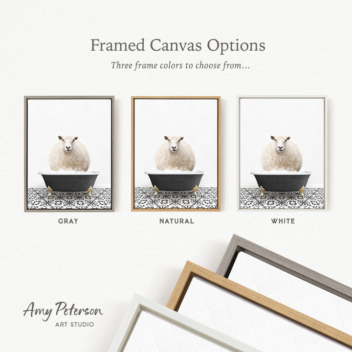 The image is a framed canvas option showcasing three different frame colors: gray, natural, and white. The canvas features a sheep in a bathtub, and the frame colors are gray, natural, and white.
