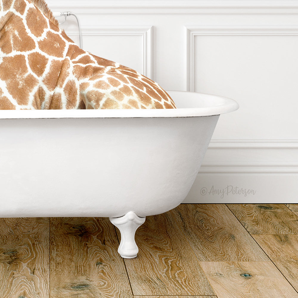 A giraffe is sitting in a white bathtub, with its head resting on the edge of the tub.