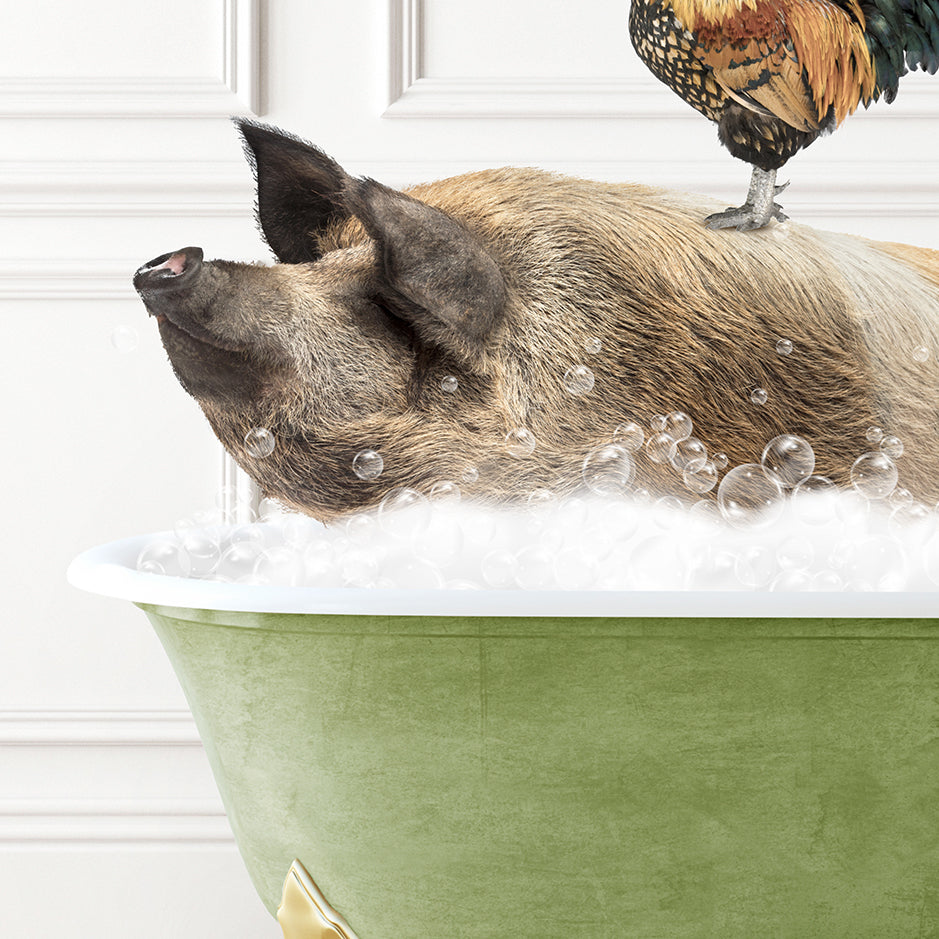 a pig in a bathtub with a chicken on top of it