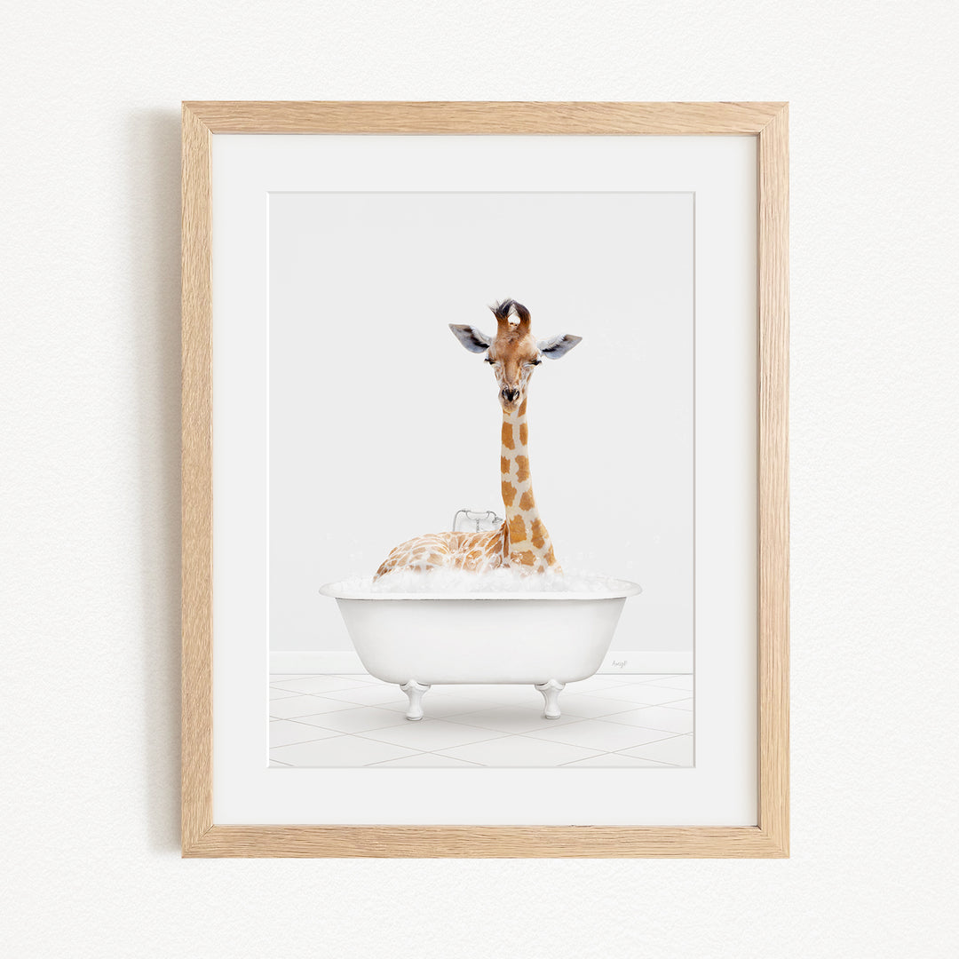 A giraffe sitting in a white bathtub filled with bubbles, looking directly at the camera.