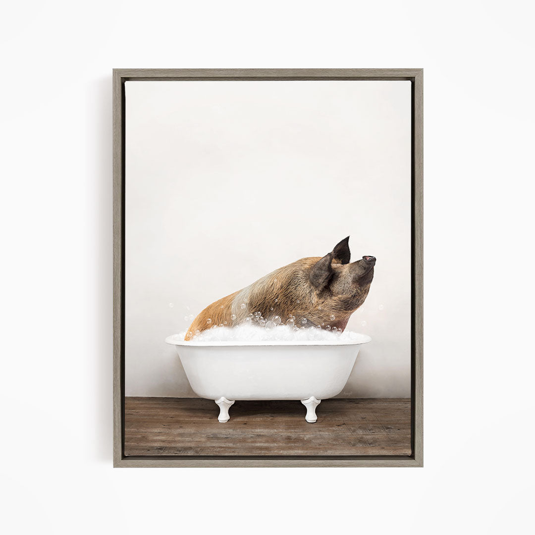A pig is sitting in a white bathtub filled with water, appearing to enjoy the bath.