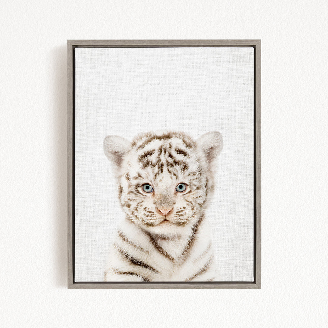 A young tiger cub with striking blue eyes and a playful expression is the focal point of the framed image.