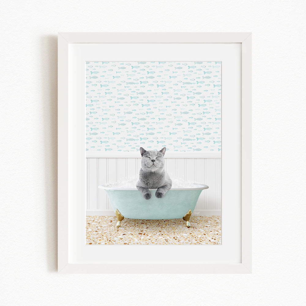 A gray cat sitting in a light blue bathtub, with a patterned wall behind it.