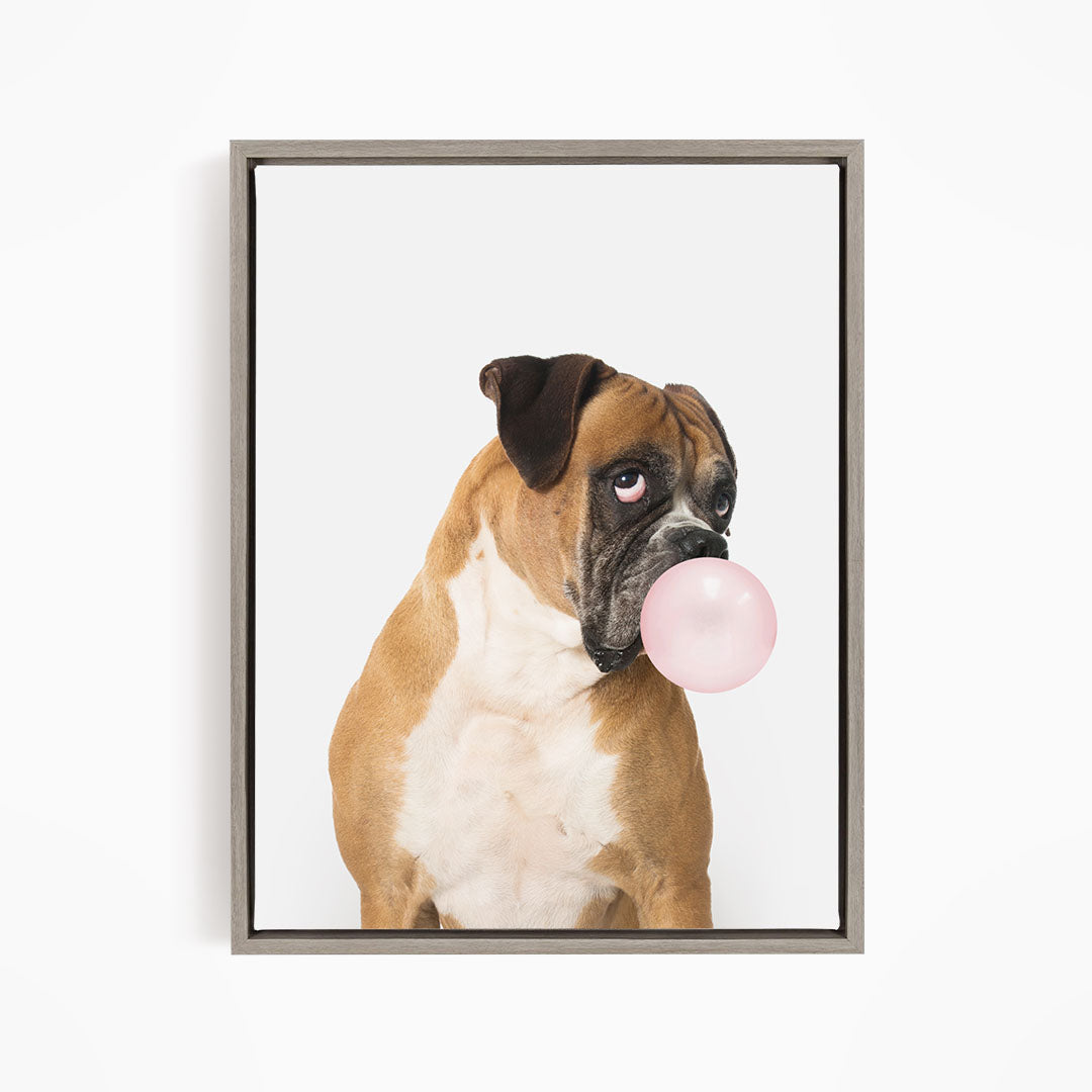A brown and white dog is blowing a pink bubble with its mouth, creating a playful and whimsical scene.