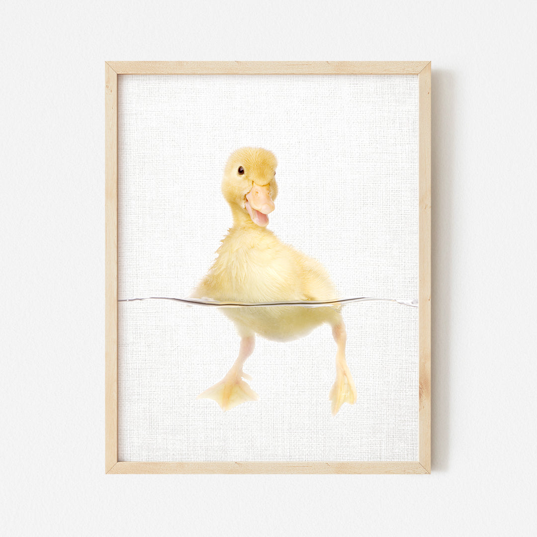 a picture of a duck floating in water