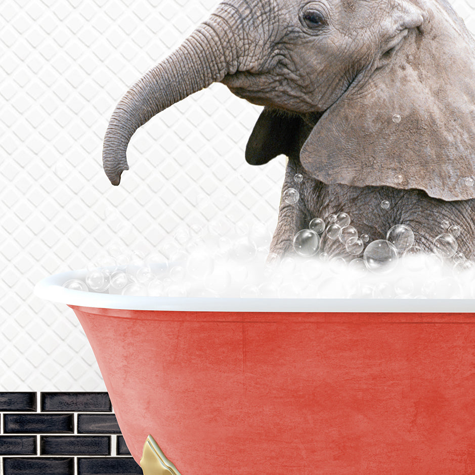 a baby elephant in a bathtub with bubbles