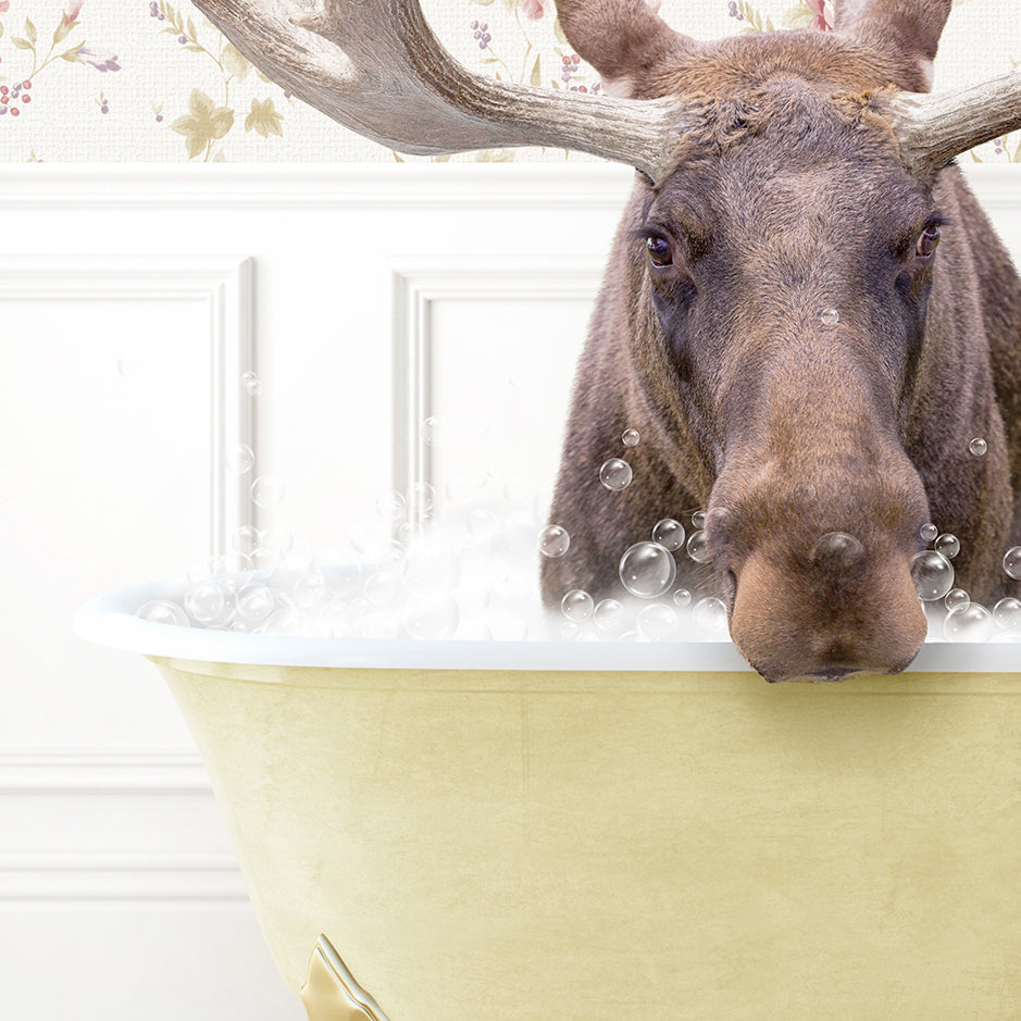 Moose in Vintage Yellow Bath