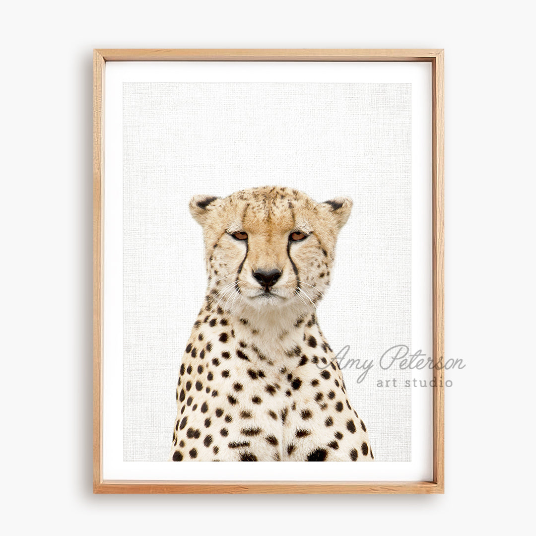 a framed picture of a cheetah sitting in front of a white background