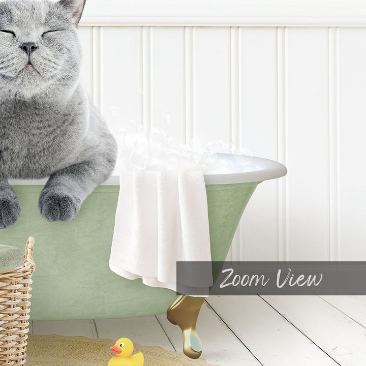 A gray cat sitting in a green bathtub, with a yellow rubber duck nearby, and a basket next to the tub.