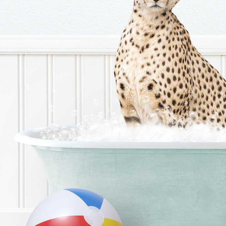 a cheetah sitting in a bathtub with bubbles and a beach ball