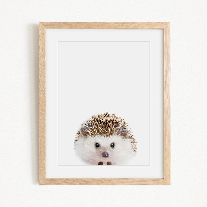 A framed print of a cute hedgehog with a white and brown color pattern and small black eyes.