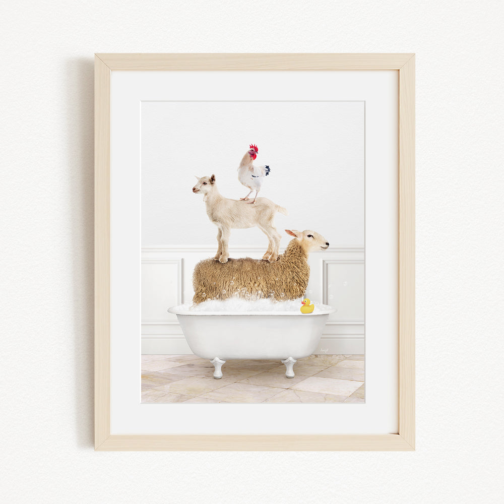 A framed image depicting a goat standing on a sheep's back while a rooster stands on top of a sheep in a bathtub.