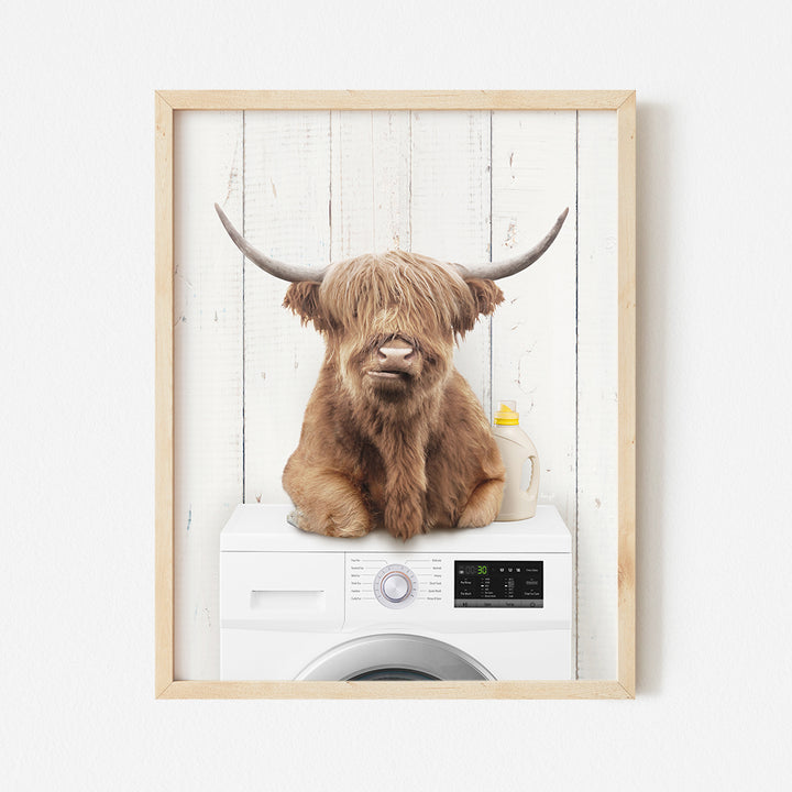 a picture of a cow sitting on top of a washing machine