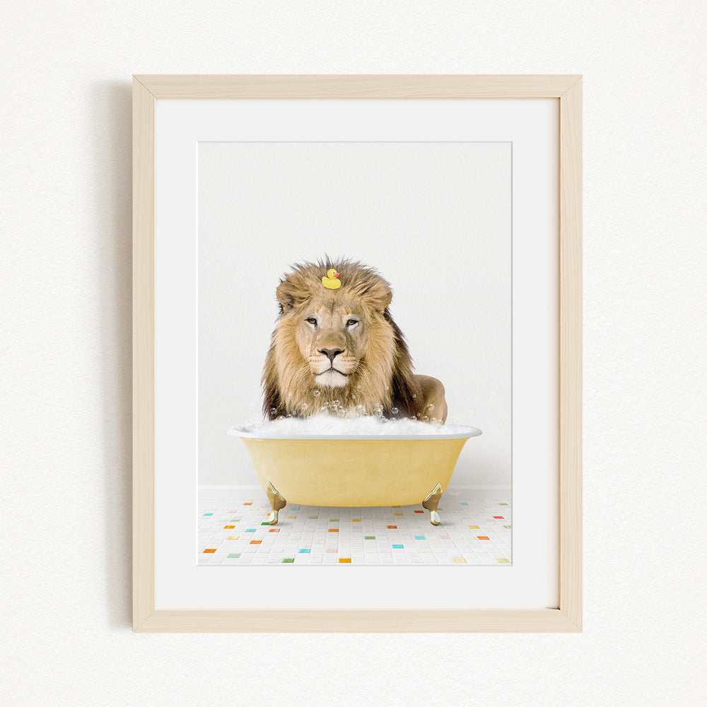 A lion sitting in a yellow bathtub, with a rubber duck floating on its head.
