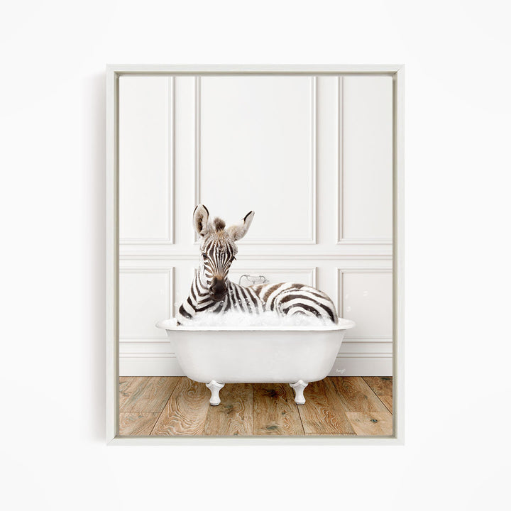 A zebra is sitting in a white bathtub, surrounded by a white wall and wooden floor.