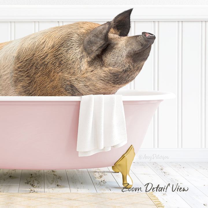 A pig is sitting in a pink bathtub, with a towel and gold bathtub stopper nearby.