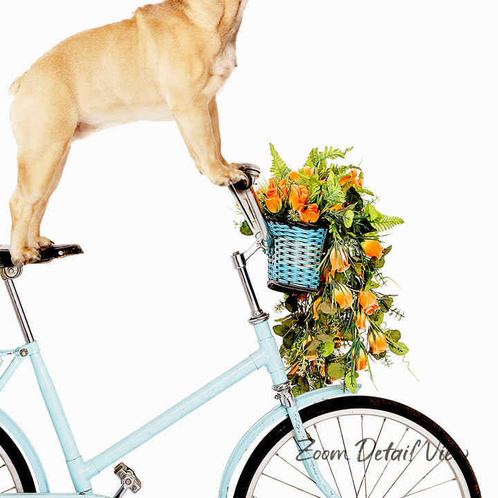 A dog is standing on a bicycle with a basket of flowers attached to it.