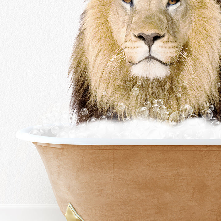 a lion sitting in a bathtub with bubbles