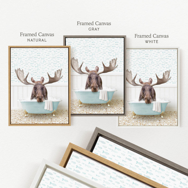 a framed picture of a moose sitting in a bathtub, with three different colored frames displayed side by side.