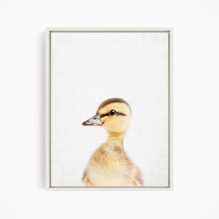 A cute duckling peeking out from behind a white background.