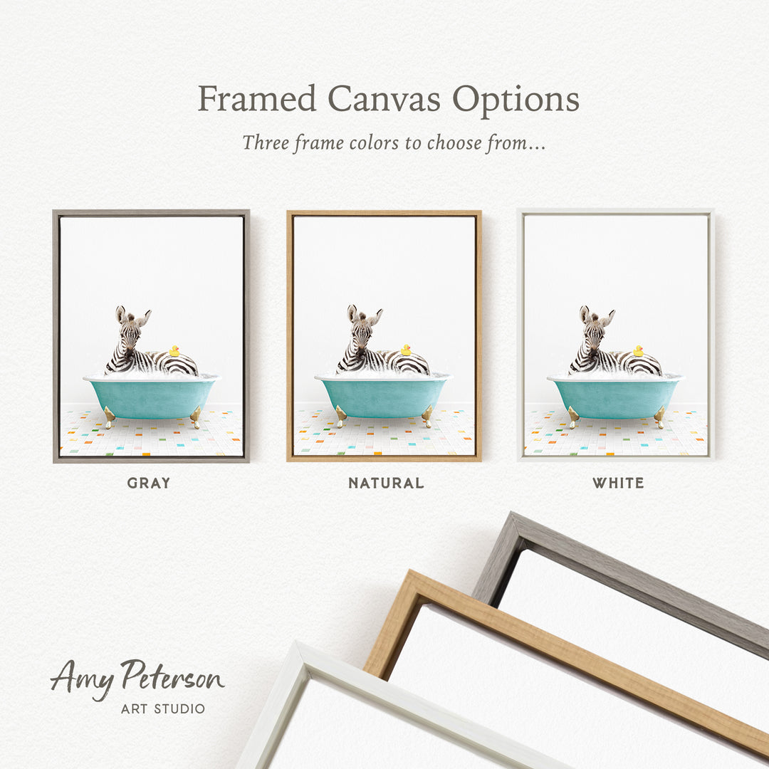 three framed canvas options, each featuring a zebra sitting in a bathtub with a yellow ball. The options include a gray frame, a natural frame, and a white frame.