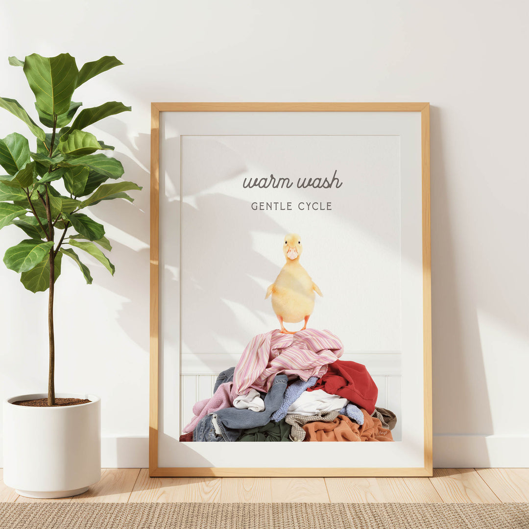 a framed poster with a duck standing on a pile of clothes, accompanied by the text "Warm wash GENTLE CYCLE".