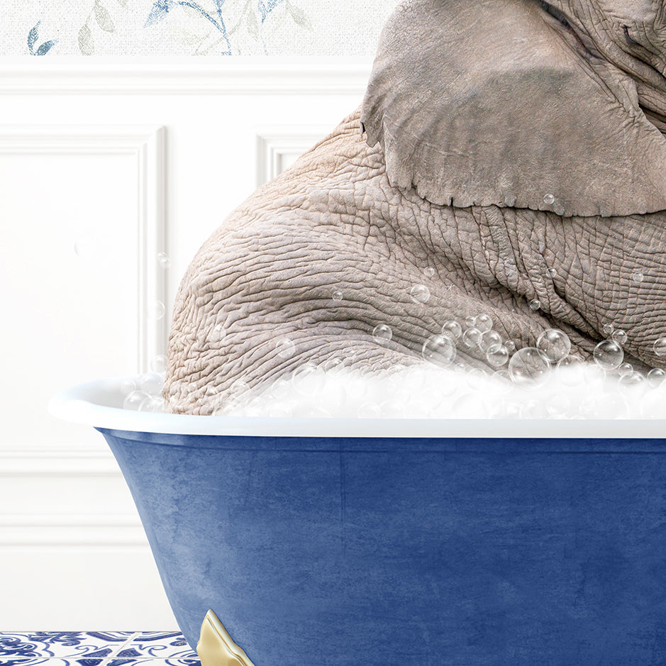 an elephant sitting in a blue bath tub