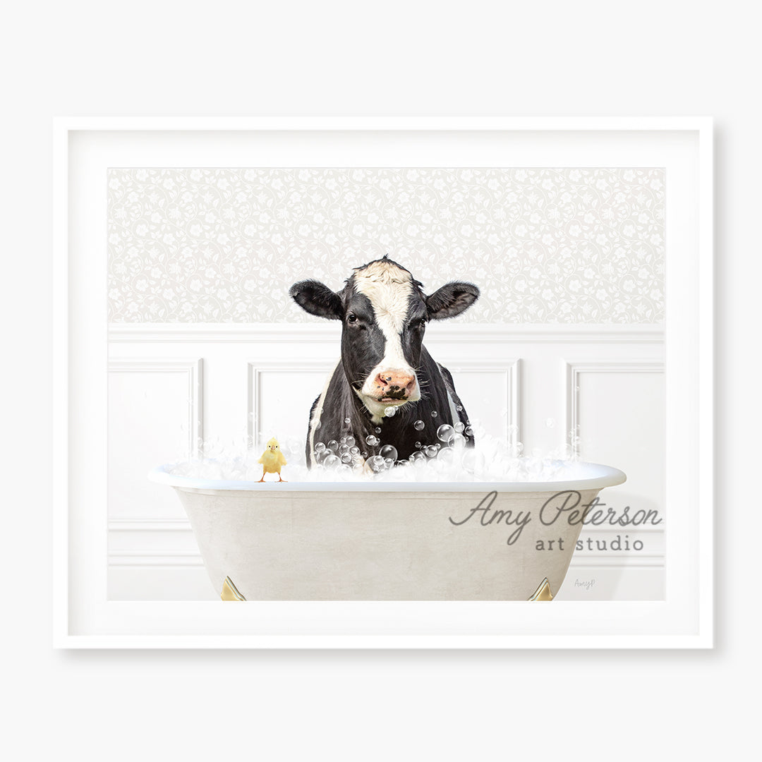 a black and white cow sitting in a bath tub