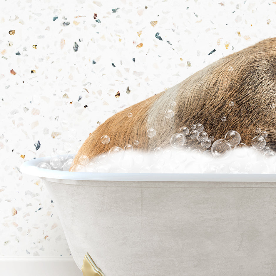 a dog is taking a bath in a bathtub