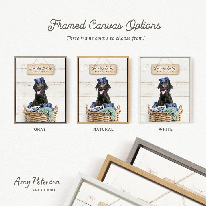 three framed canvas options featuring a black dog wearing a blue bow tie, sitting in a basket. The options include a gray, a natural, and a white frame.