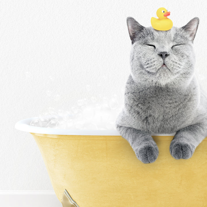 a cat with a rubber ducky on its head in a bathtub