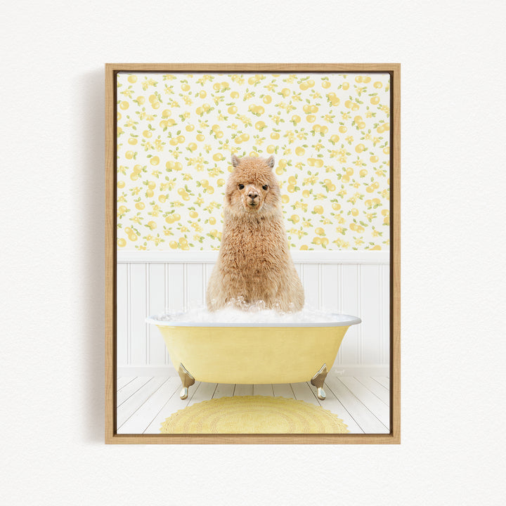 A fluffy brown dog sitting in a yellow bathtub filled with bubbles, with a yellow floral wallpaper in the background.