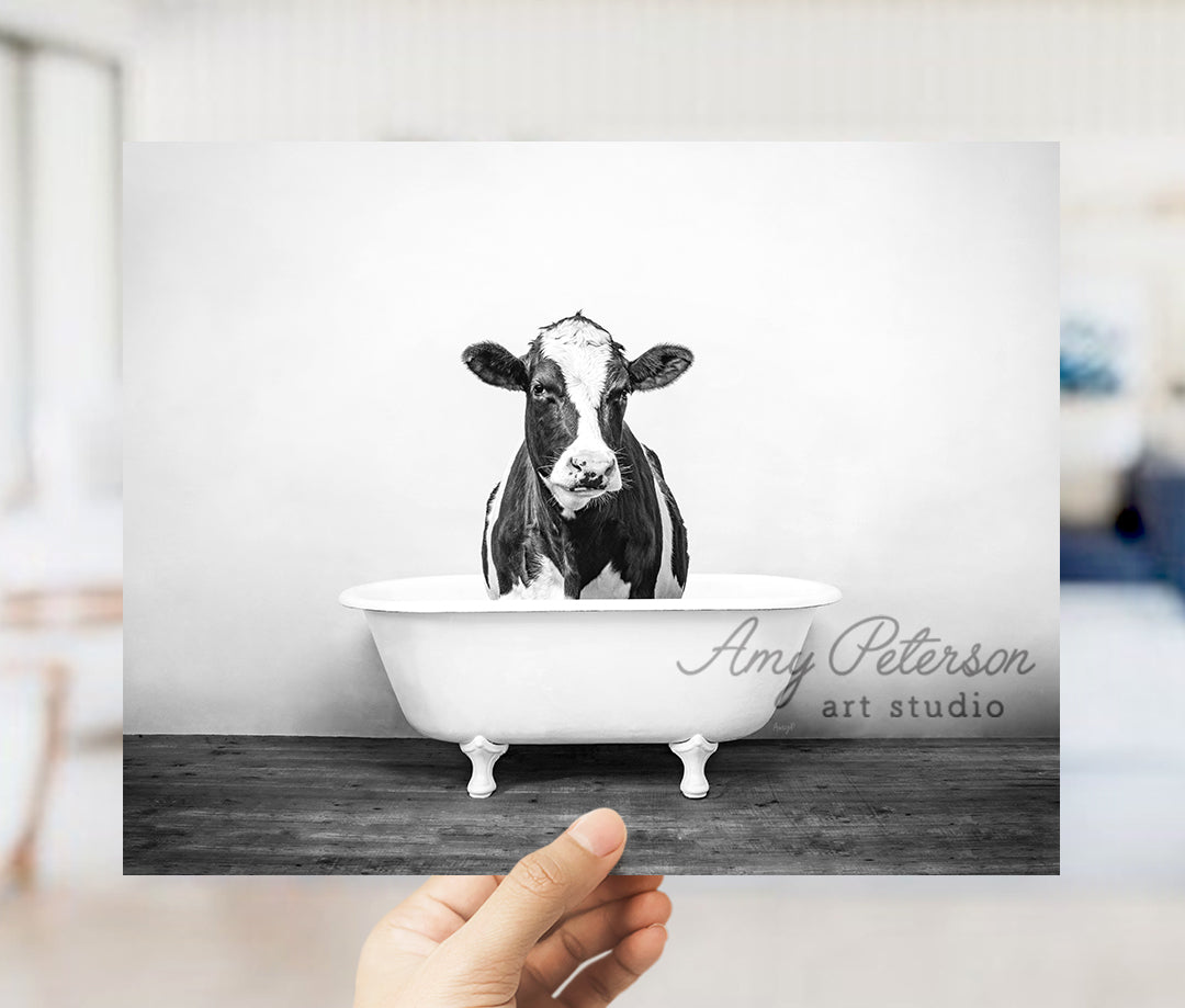 a black and white photo of a cow in a bathtub