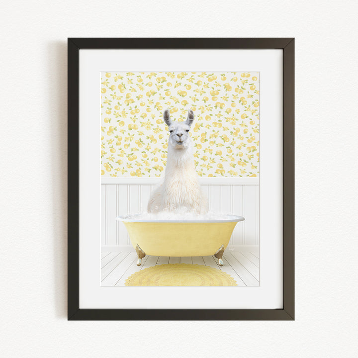 A white llama sitting in a yellow bathtub against a yellow and white floral wallpaper background.