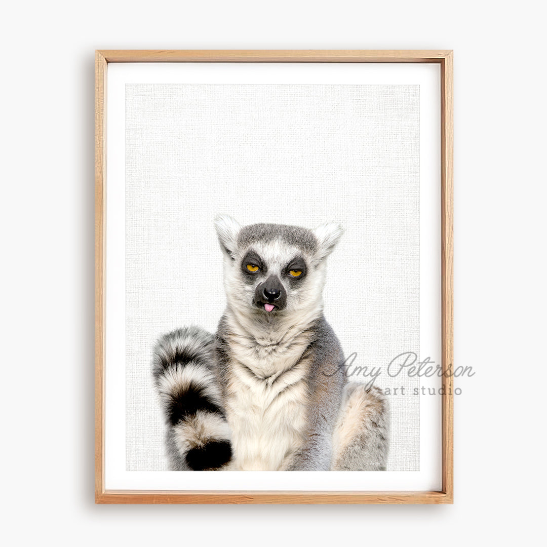 a picture of a ring tailed lemura