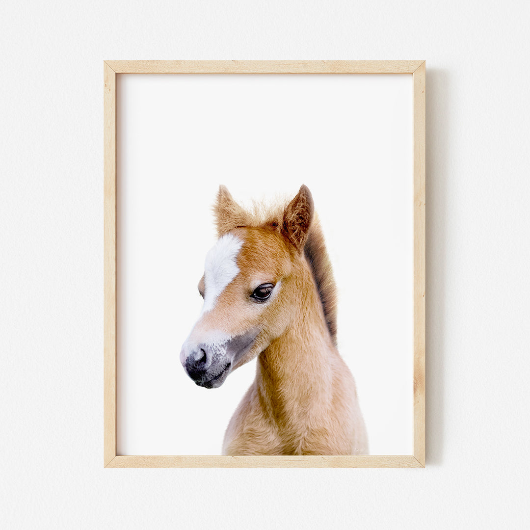 a brown and white horse in a wooden frame