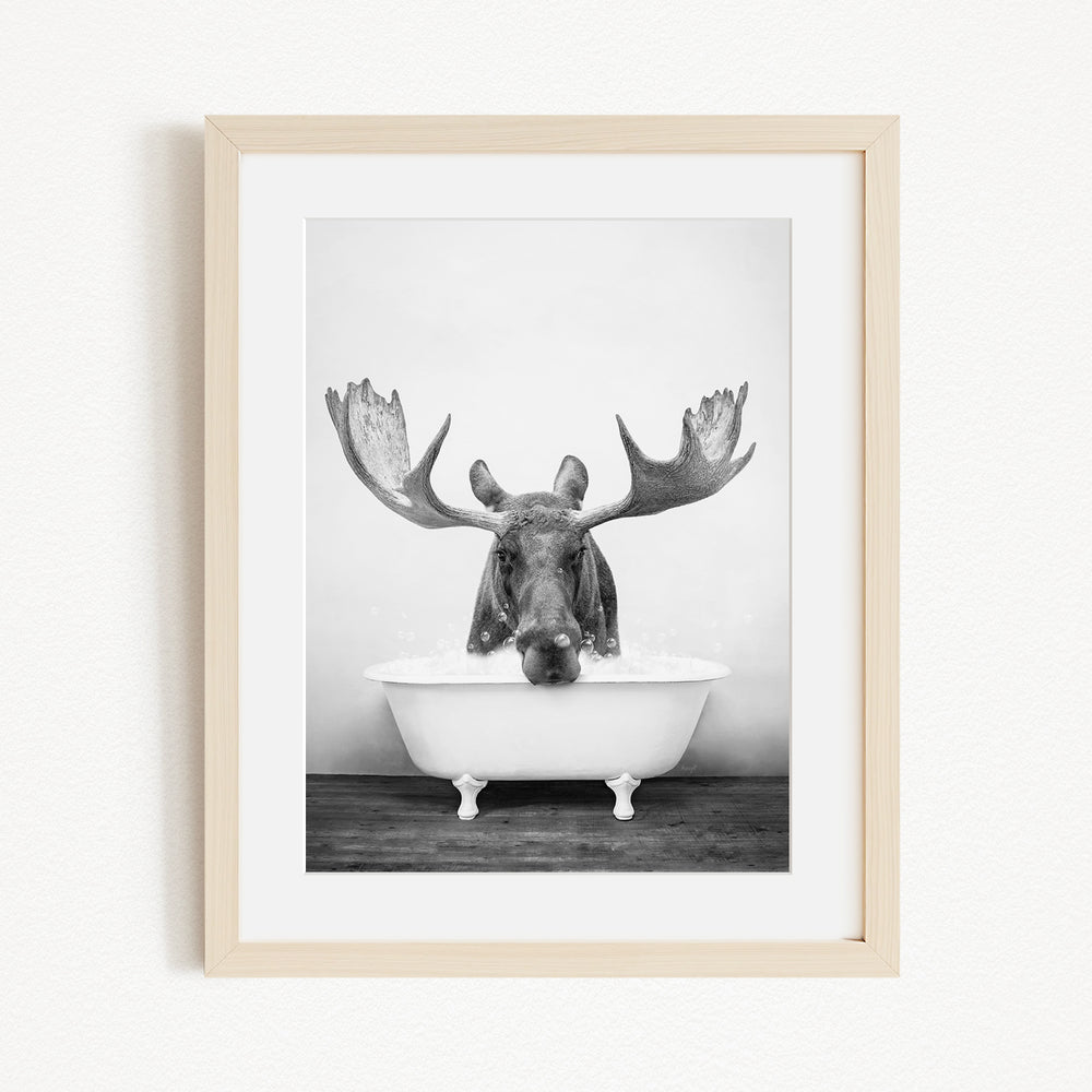 A black and white photograph of a moose with large antlers sitting in a bathtub.