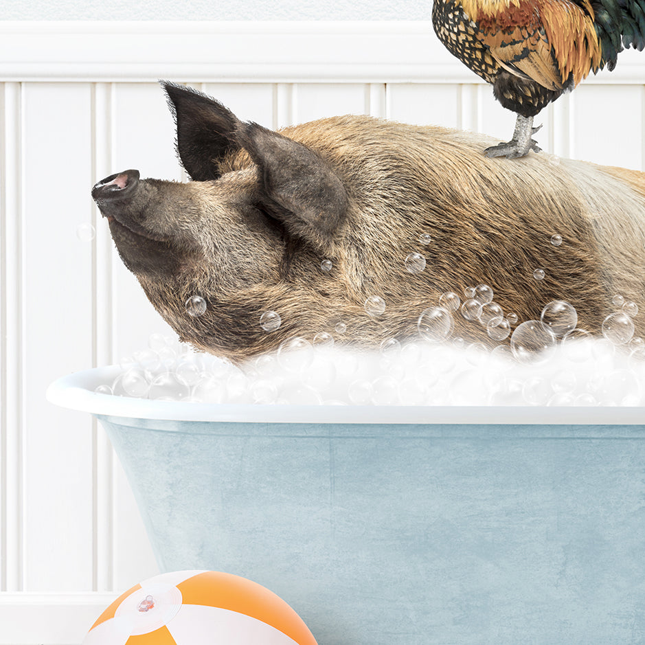 a pig in a bathtub with a chicken on top of it