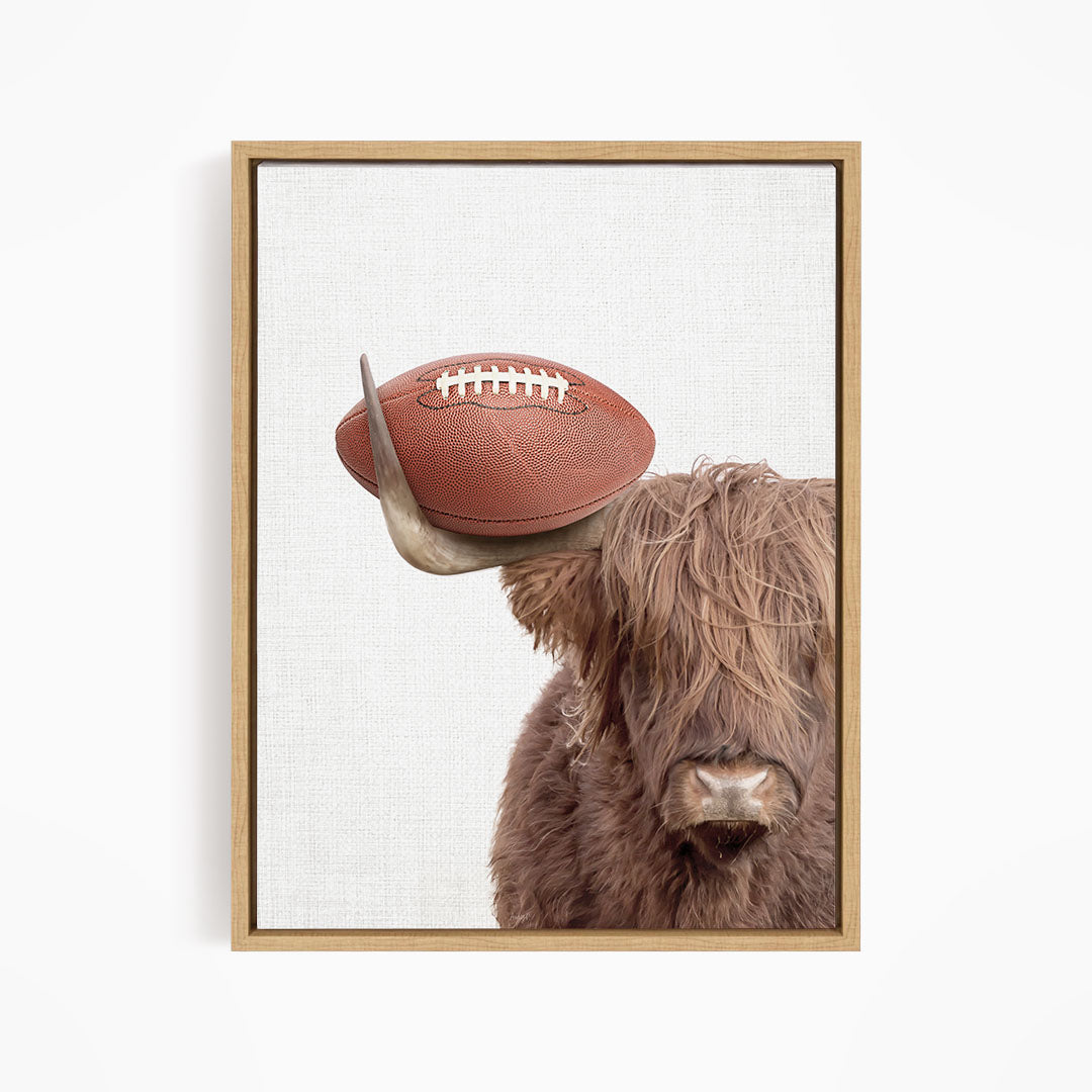 A brown cow with shaggy hair is holding a football in its mouth, with a plain white background.