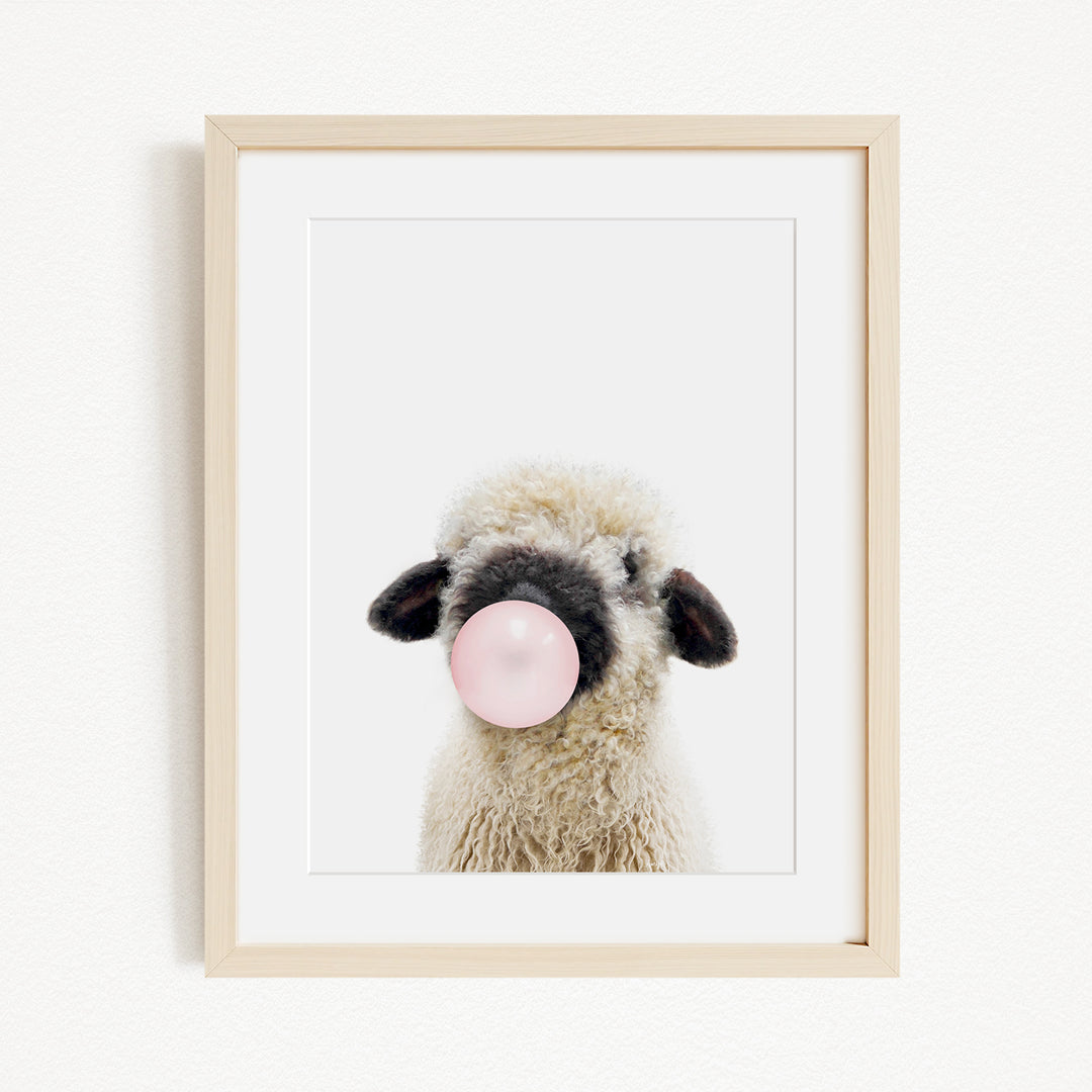 A framed image of a fluffy white sheep blowing a bubble with a pink bubble gum bubble.